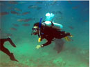North Shore  Scuba and Snorkeling